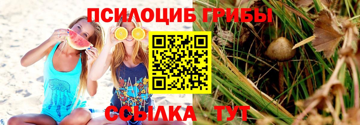 Псилоцибиновые грибы MAGIC MUSHROOMS Гуково